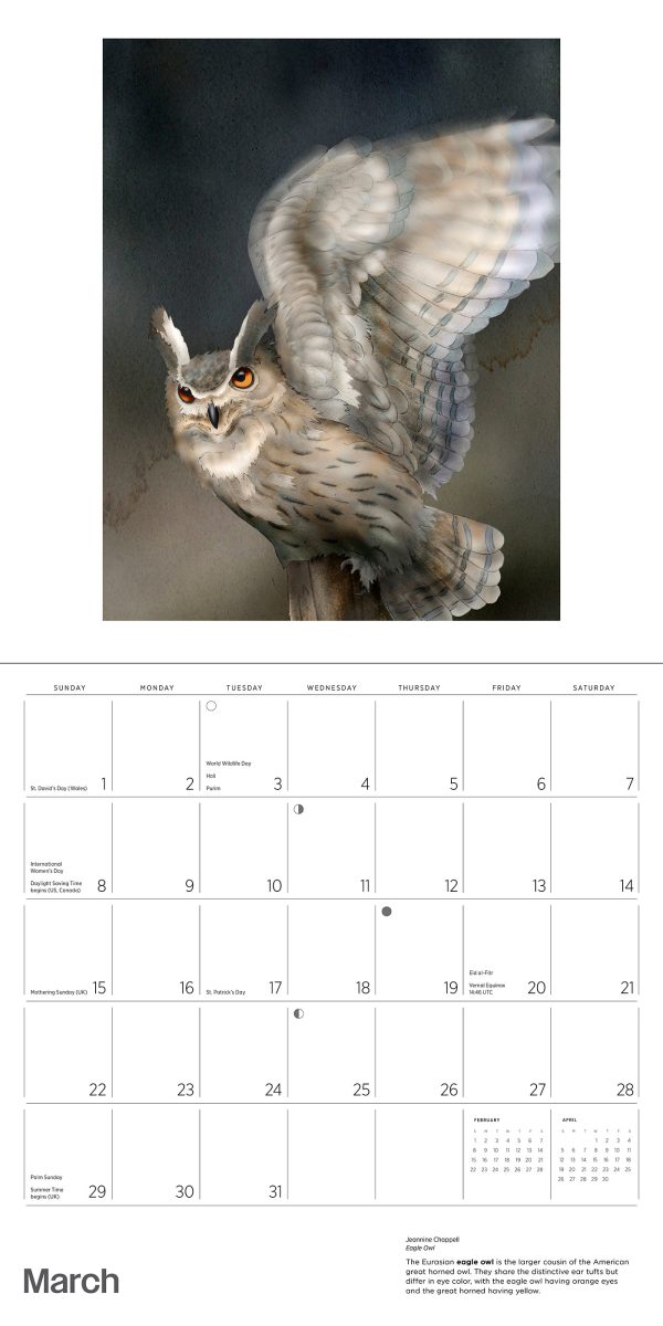 Owls: Jeannine Chappell 2026 Wall Calendar - Image 5