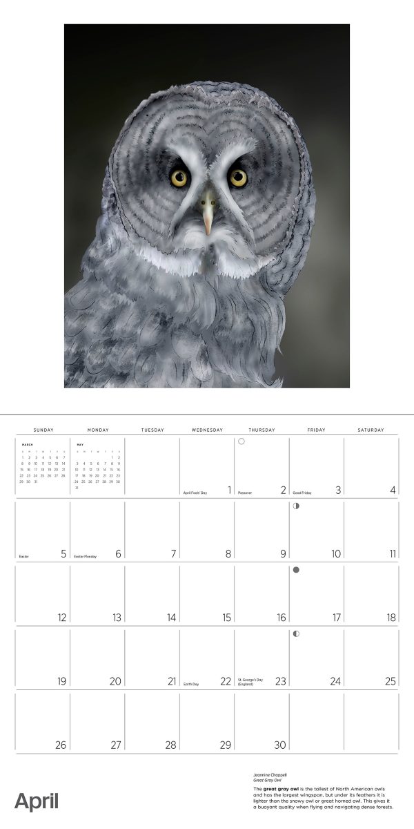 Owls: Jeannine Chappell 2026 Wall Calendar - Image 6