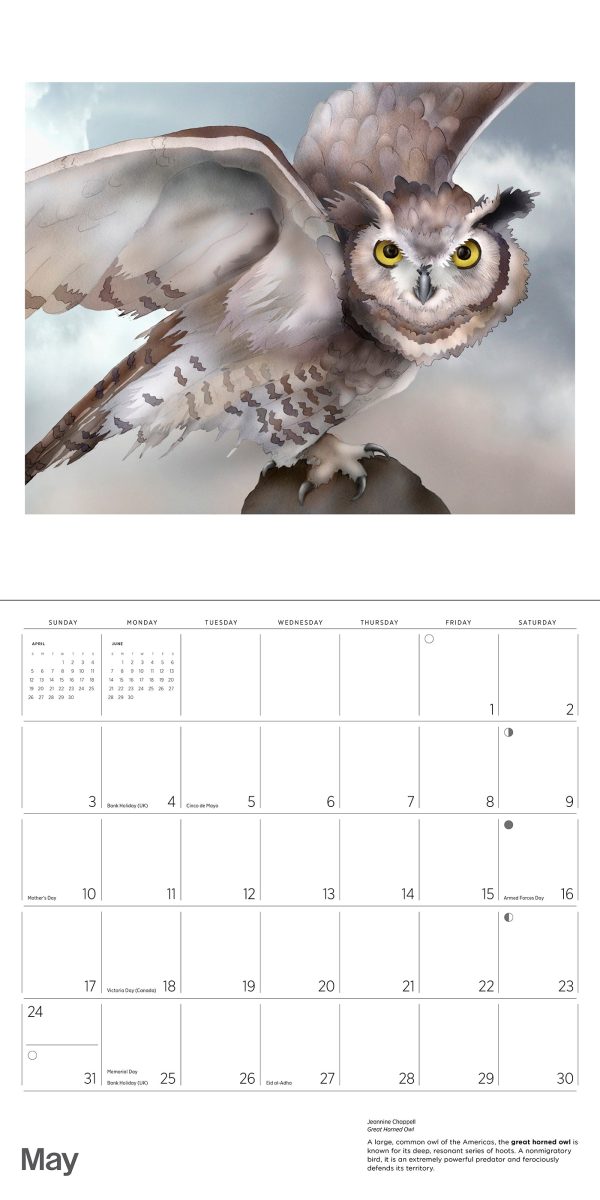 Owls: Jeannine Chappell 2026 Wall Calendar - Image 7
