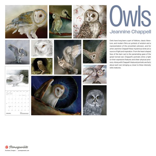 Owls: Jeannine Chappell 2026 Wall Calendar - Image 8