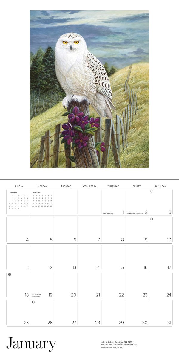 A Birder's View: Paintings by John A. Ruthven 2026 Wall Calendar - Image 3