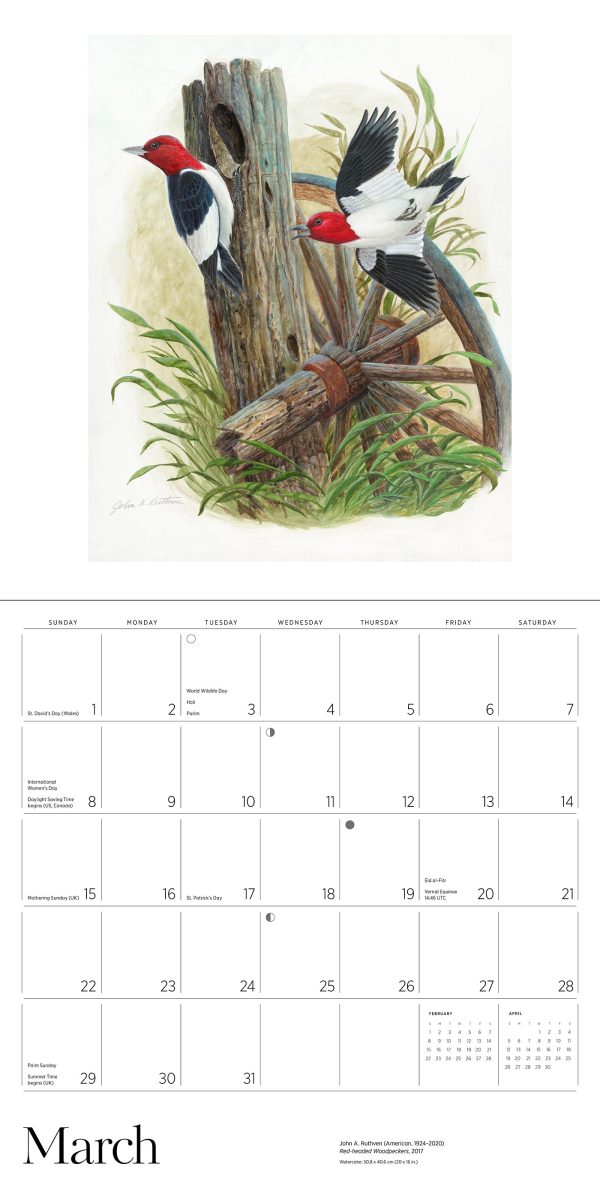 A Birder's View: Paintings by John A. Ruthven 2026 Wall Calendar - Image 5