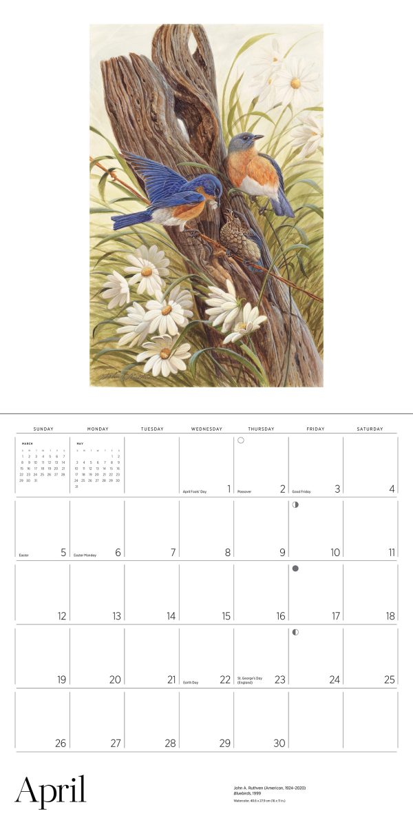 A Birder's View: Paintings by John A. Ruthven 2026 Wall Calendar - Image 6