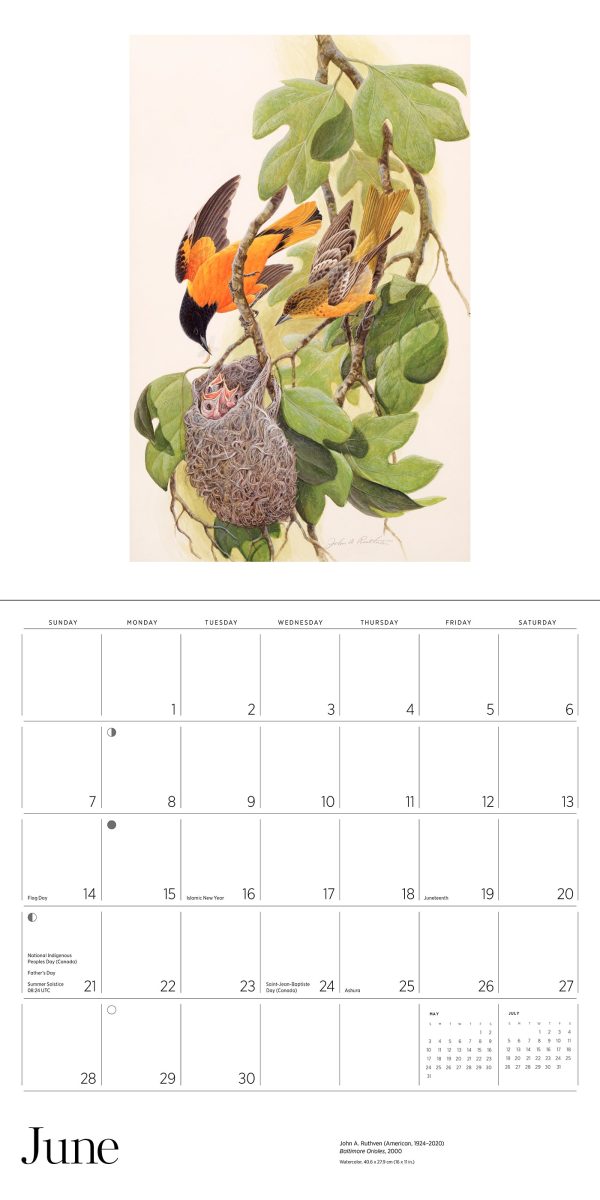 A Birder's View: Paintings by John A. Ruthven 2026 Wall Calendar - Image 7