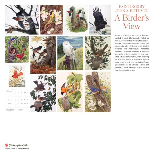 A Birder's View: Paintings by John A. Ruthven 2026 Wall Calendar - Image 8