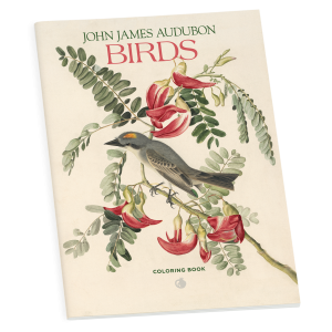John James Audubon: Birds Coloring Book