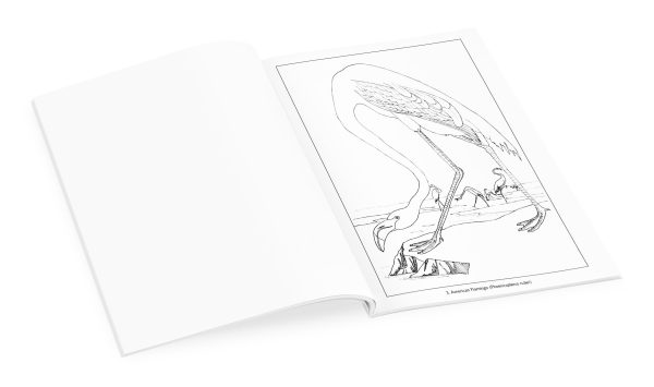 John James Audubon: Birds Coloring Book - Image 3
