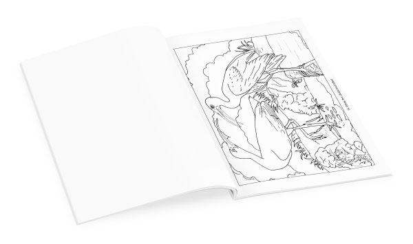 John James Audubon: Birds Coloring Book - Image 4