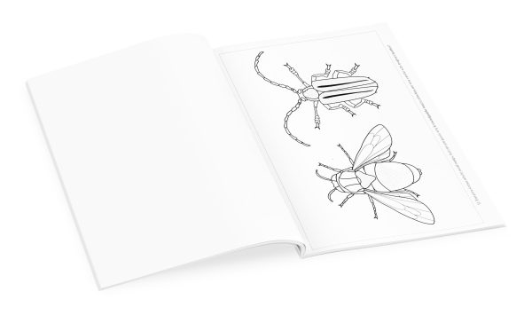 Incredible Insects: Designs by Christopher Marley Coloring Book - Image 3