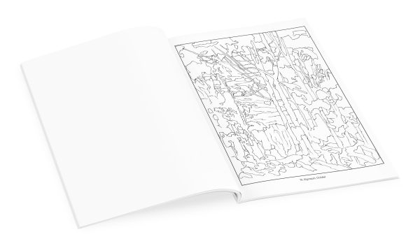 Tom Thomson Coloring Book - Image 3