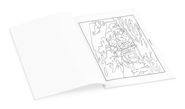 Tom Thomson Coloring Book - Image 4
