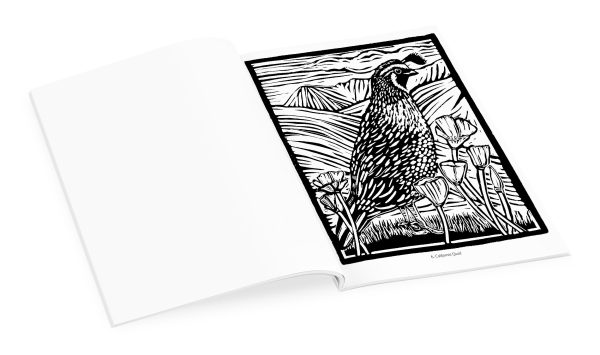 Molly Hashimoto: Birds Coloring Book - Image 3