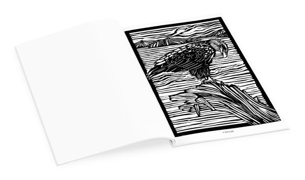 Molly Hashimoto: Birds Coloring Book - Image 4