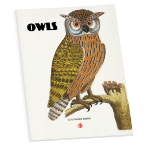 Owls Coloring Book
