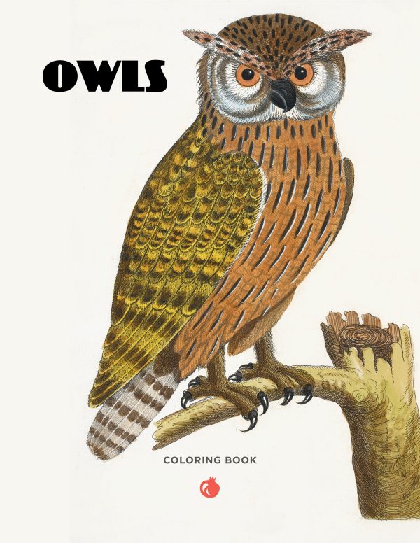 Owls Coloring Book - Image 2