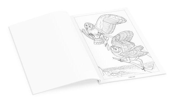 Owls Coloring Book - Image 3