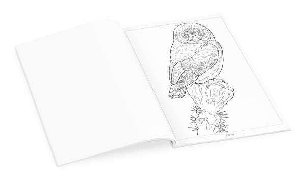 Owls Coloring Book - Image 4