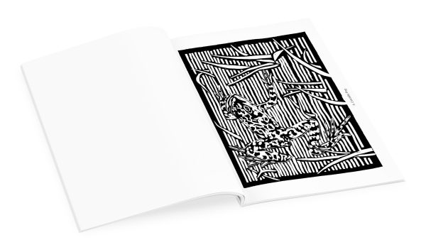 Molly Hashimoto: Birds & Other Wildlife Coloring Book - Image 3