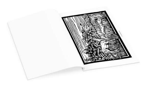 Molly Hashimoto: Birds & Other Wildlife Coloring Book - Image 4