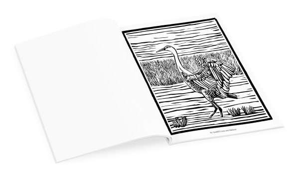 Molly Hashimoto: Birds & Other Wildlife Coloring Book - Image 5