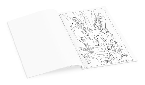 Dinosaurs Coloring Book - Image 3