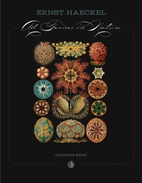 Ernst Haeckel: Art Forms in Nature Coloring Book - Image 2