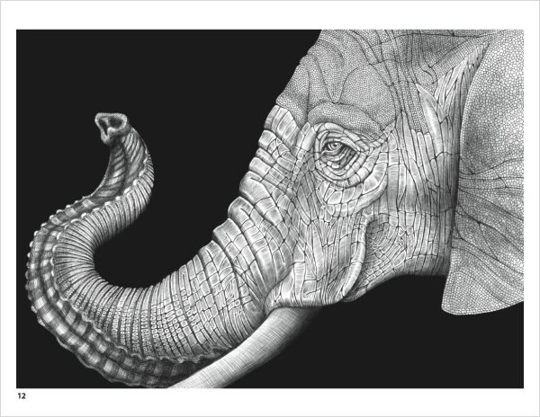 Intricate Ink: Animals in Detail Coloring Book - Image 2
