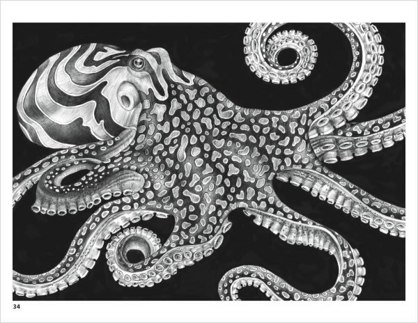 Intricate Ink: Animals in Detail Coloring Book - Image 3