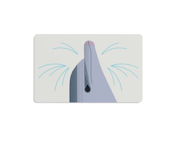 Charley Harper's I Am Wild Flash Cards - Image 6