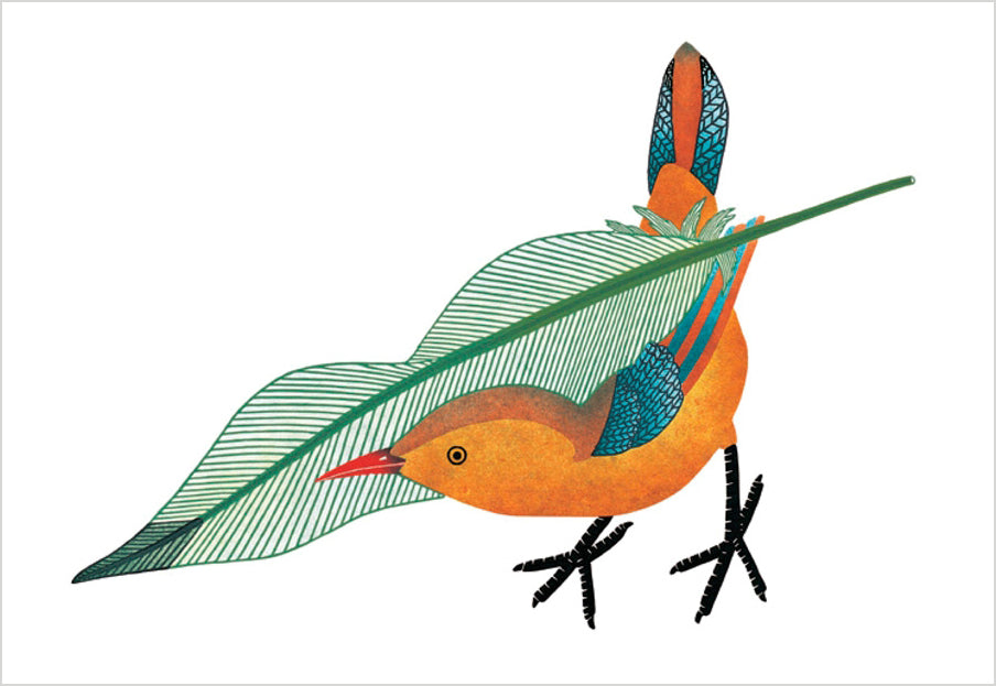 Qavavau Manumie: Feathering the Nest Birthday Card