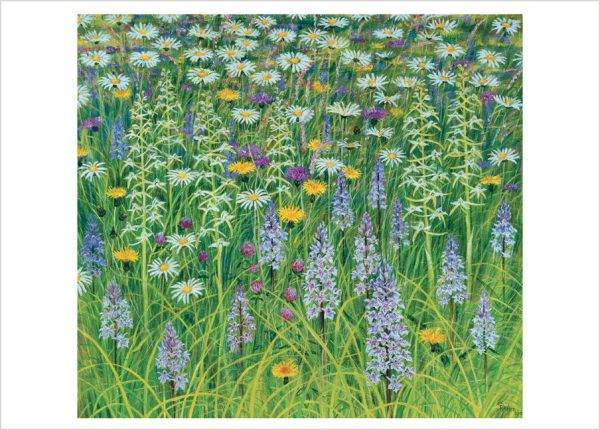 Rosalind Wise: Pentwyn Meadow Orchids Birthday Card