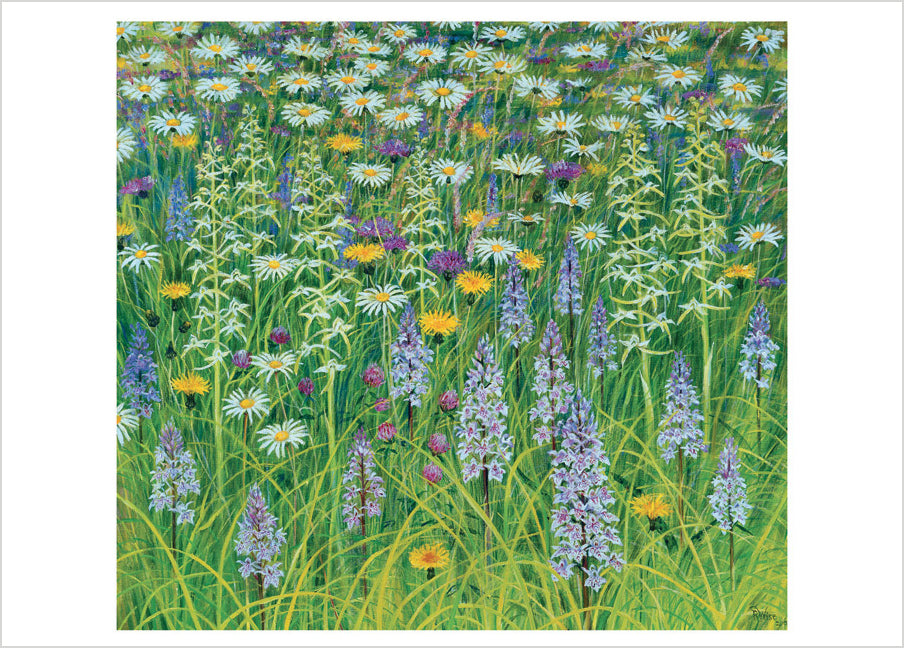 Rosalind Wise: Pentwyn Meadow Orchids Birthday Card