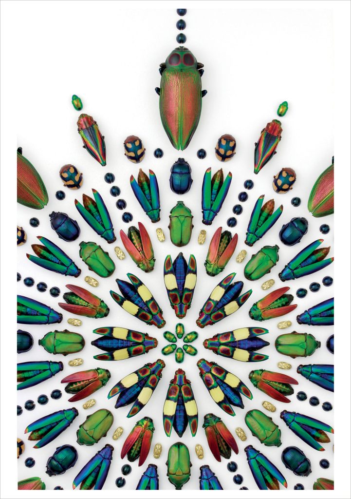 Christopher Marley: Limited Euchroma Prism Birthday Card