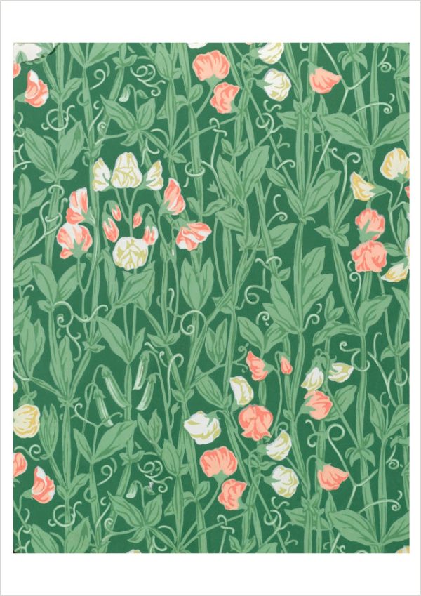 William Morris: Sweetpea Pattern Birthday Card