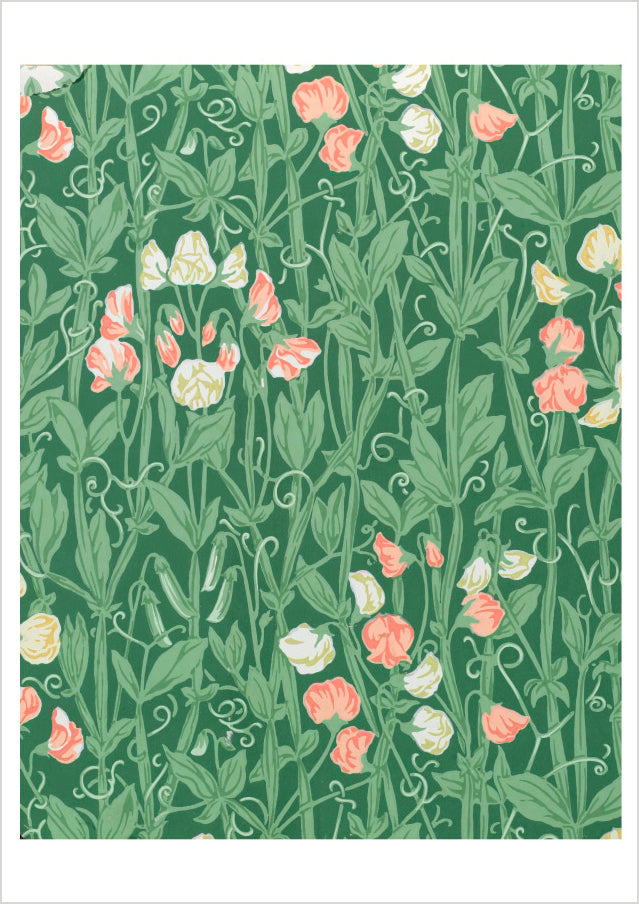William Morris: Sweetpea Pattern Birthday Card