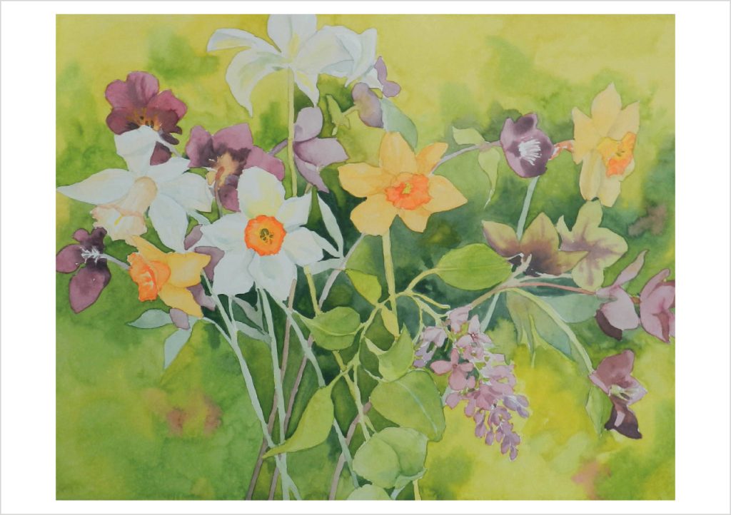 Molly Hashimoto: Daffodils and Spring Flowers Birthday Card