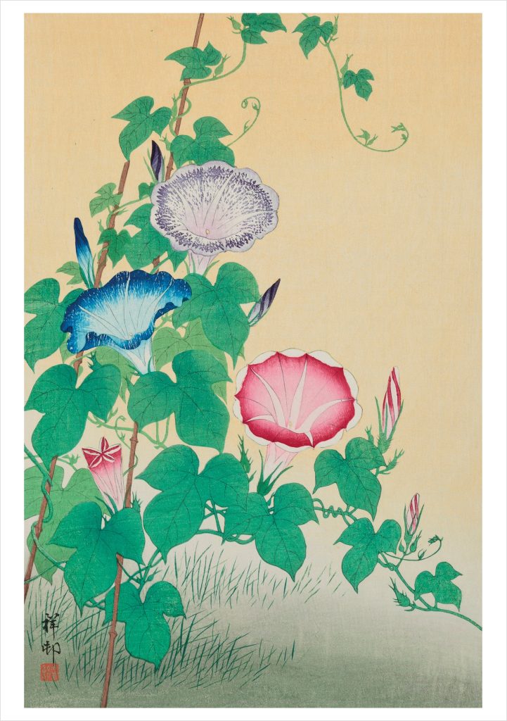 Ohara Koson (Shosōn): Morning-Glories Birthday Card