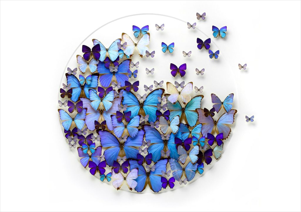 Christopher Marley: Cerulean Genesis Birthday Card
