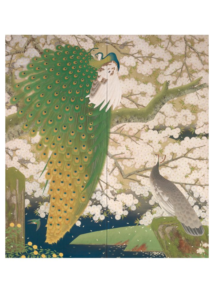 Imazu Tatsuyuki: Peacocks and Cherry Blossoms Birthday Card