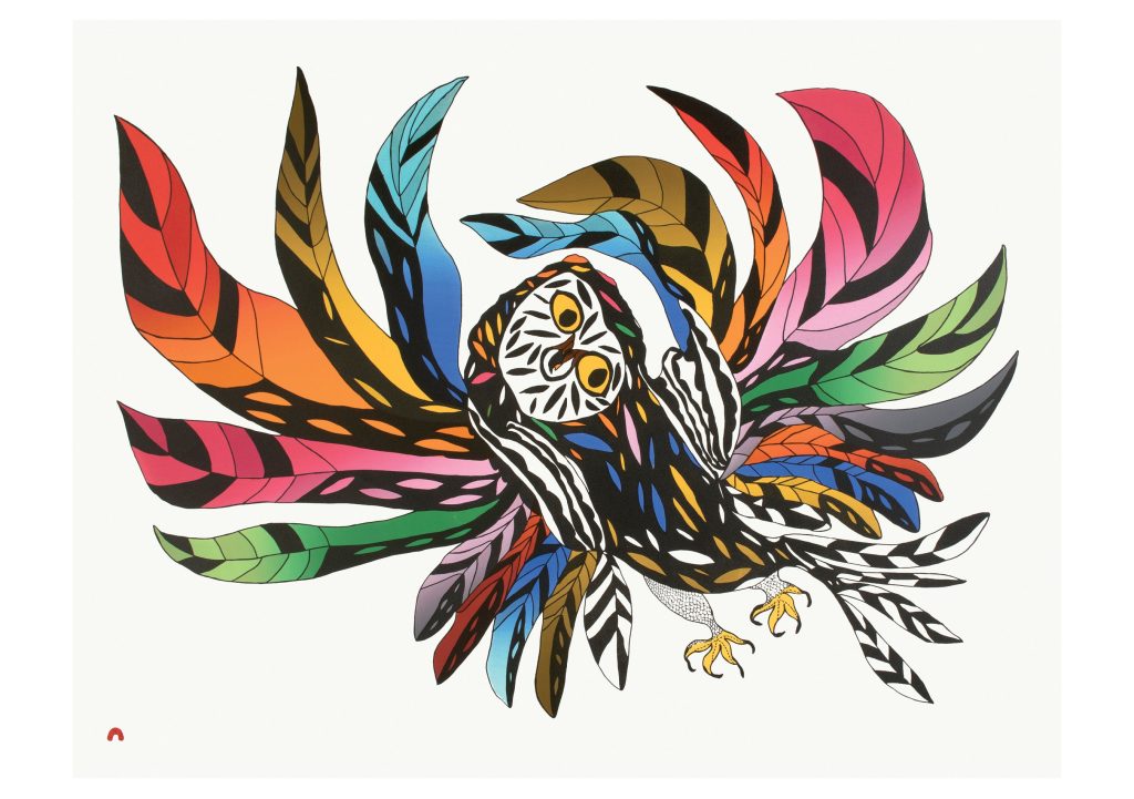 Ooloosie Saila: Festive Owl Birthday Card