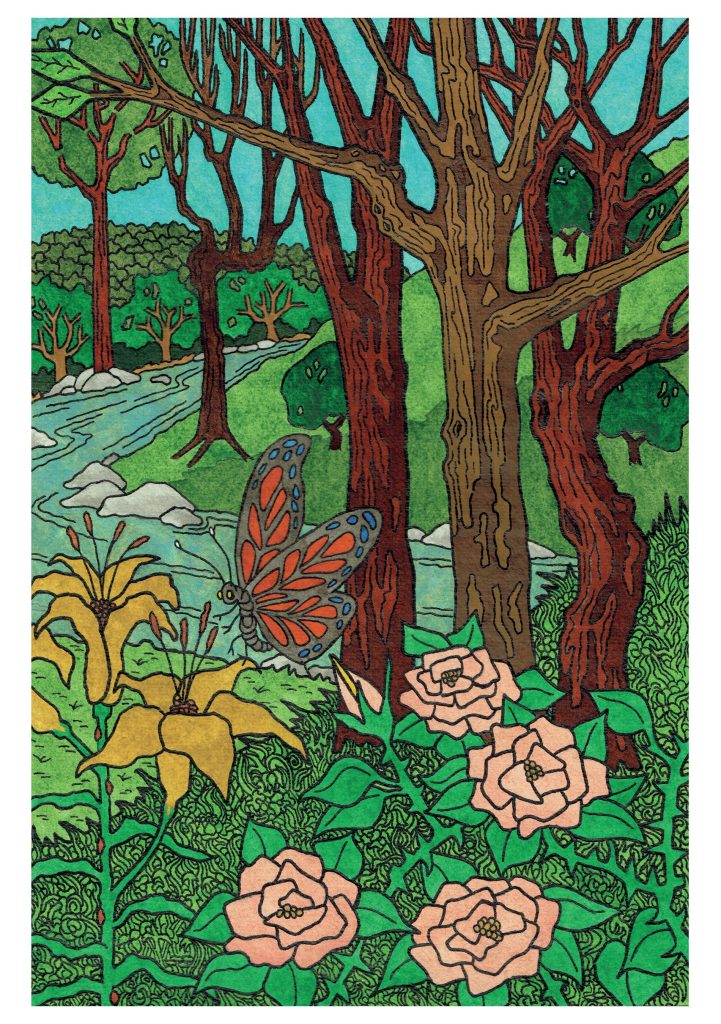 CJ Hurley: Butterfly and Lily Birthday Card