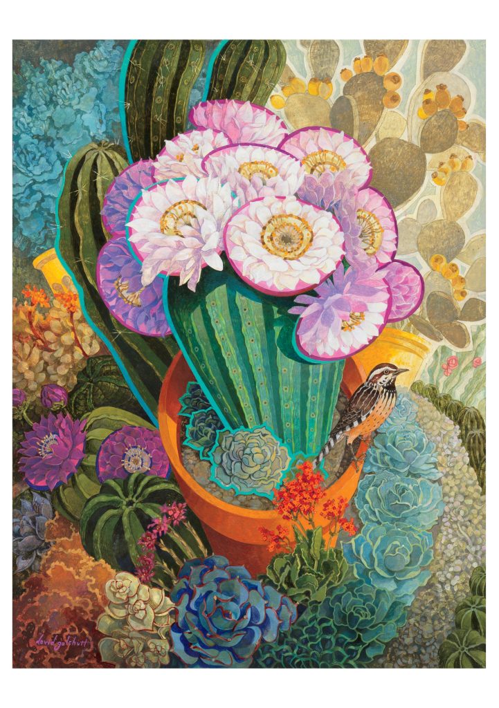 David Galchutt: The Prickly Garden Birthday Card