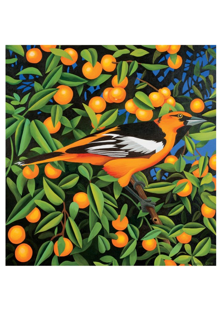 Billy Hassell: Tangerines Birthday Card