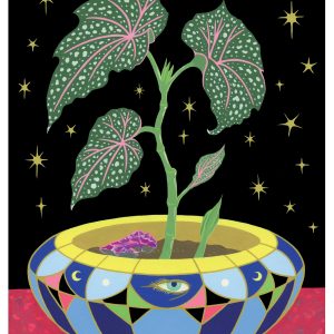 Tsz Kam: Begonia in a Pot Birthday Card