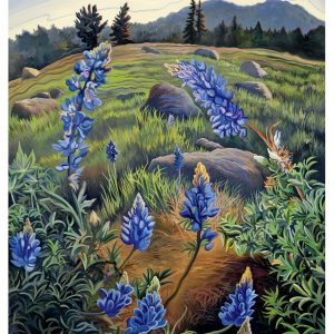 Phyllis Shafer: Hope's Lupine Birthday Card