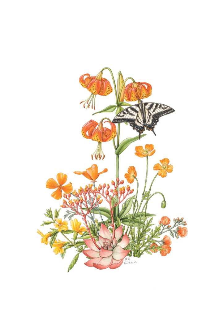 Erin E. Hunter: Wildflowers in Orange Birthday Card