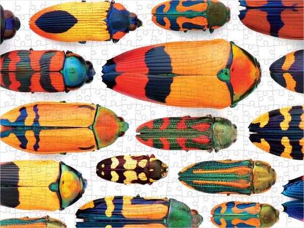 Christopher Marley: Beautiful Beetles 300-piece Jigsaw Puzzle - Image 2