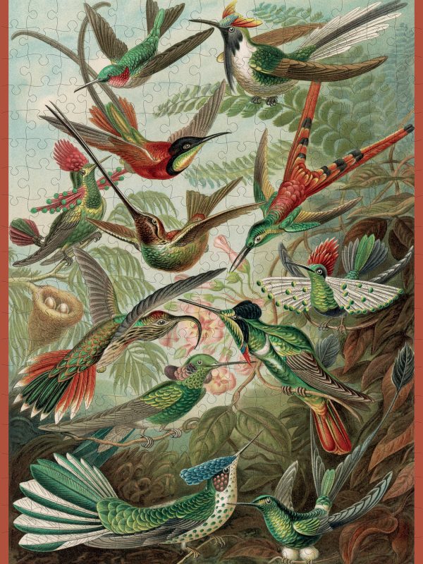 Ernst Haeckel: Hummingbirds 300-Piece Jigsaw Puzzle - Image 2