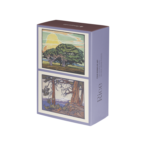 William S. Rice 120-Piece Double-Sided Jigsaw Puzzle Set