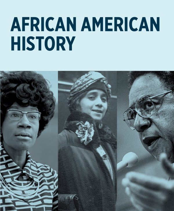 African American History Knowledge Cards - Image 2